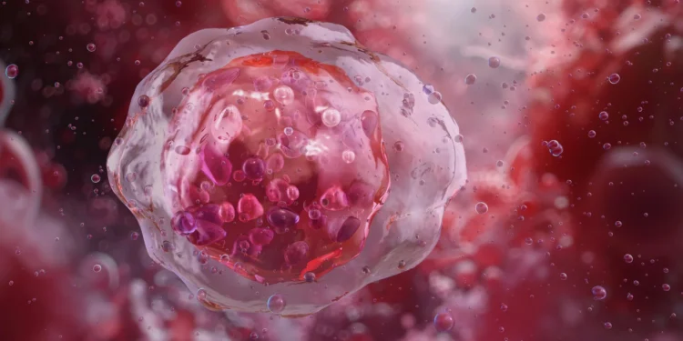 This AI spots dangerous blood cells doctors often miss