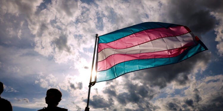 Trump Spent 2025 Attacking Trans Rights. Dems Need to Step Up.