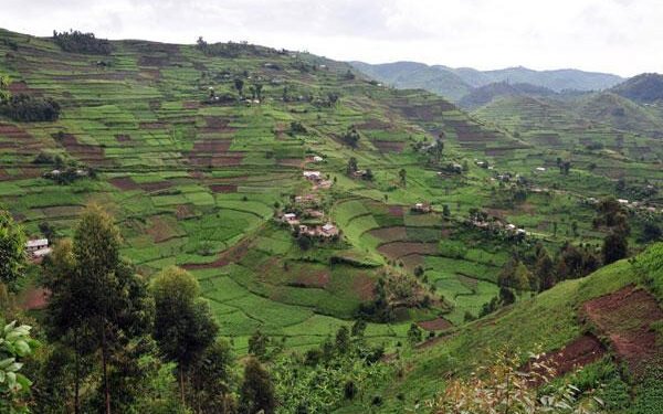 Uganda restores internet access after election blackout