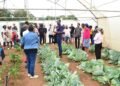 where agricultural careers take root