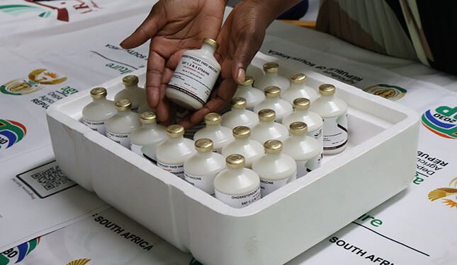 ARC releases first locally produced foot-and-mouth disease vaccine