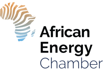 Africa, Venezuela Move to Formalize Global South Energy Cooperation