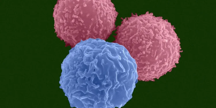 BreezeBio banks $60M to make more precise genetic medicines