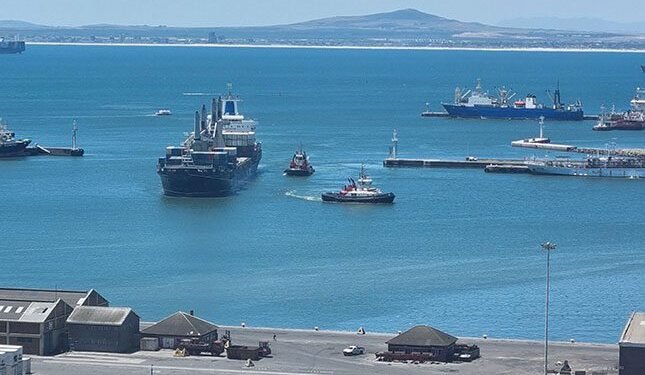 Deciduous fruit industry lashes out over ongoing port failures