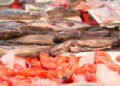 Demand from EU highlights gap in Eastern Cape seafood industry