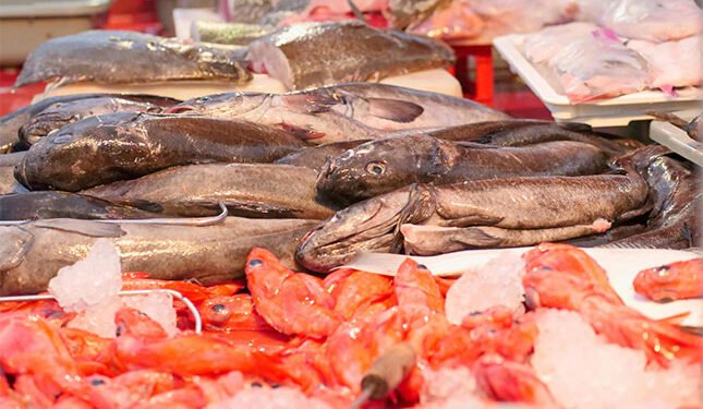 Demand from EU highlights gap in Eastern Cape seafood industry