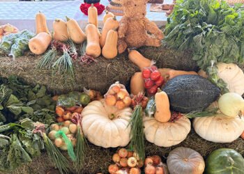 Eastern Cape agricultural show in Gqeberha celebrates smallholder success