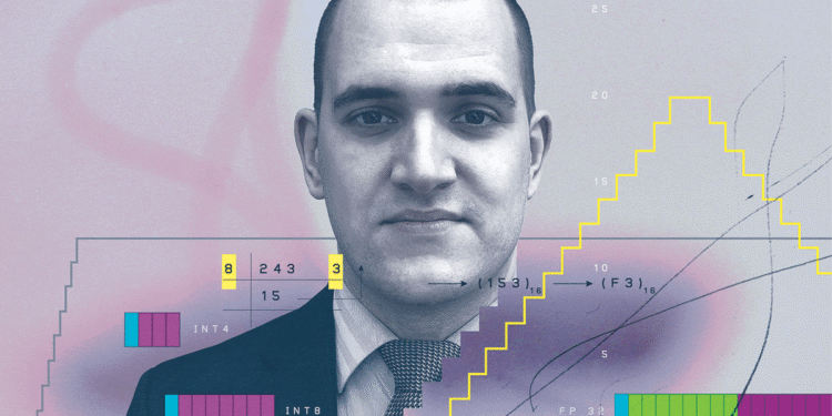 Exploring Innovative Number Formats for AI Efficiency