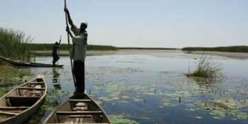 From commitment to action: Scaling solutions for wetlands restoration – EnviroNews