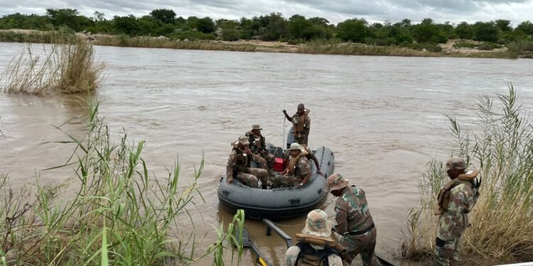 Horses and rubber ducks boost border protection efforts