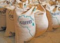 How women are transforming coffee production in Kenya