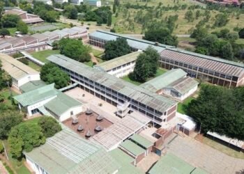 Investors eye Gauteng as adaptive reuse sparks new growth