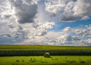 Land reform must be a priority in 2026, says Vumelana Advisory Fund