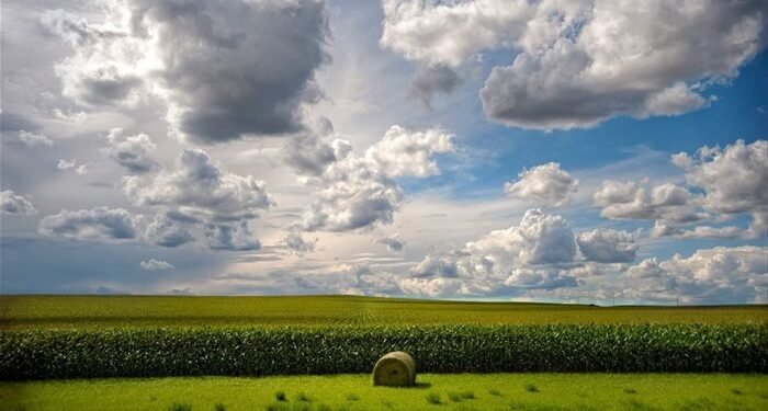 Land reform must be a priority in 2026, says Vumelana Advisory Fund