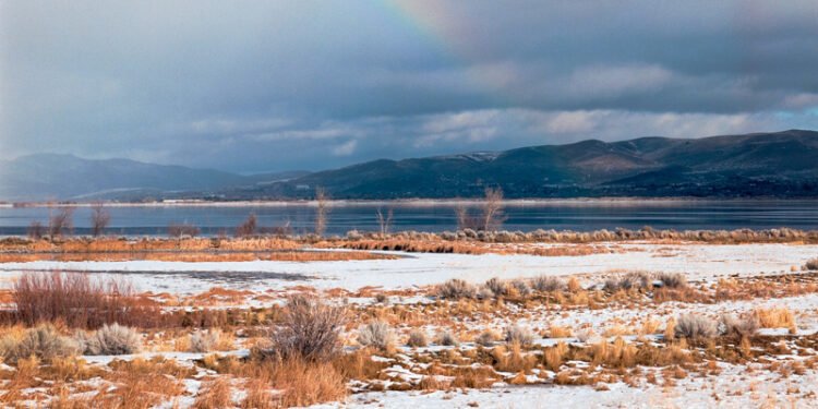 LandBack advances across the West