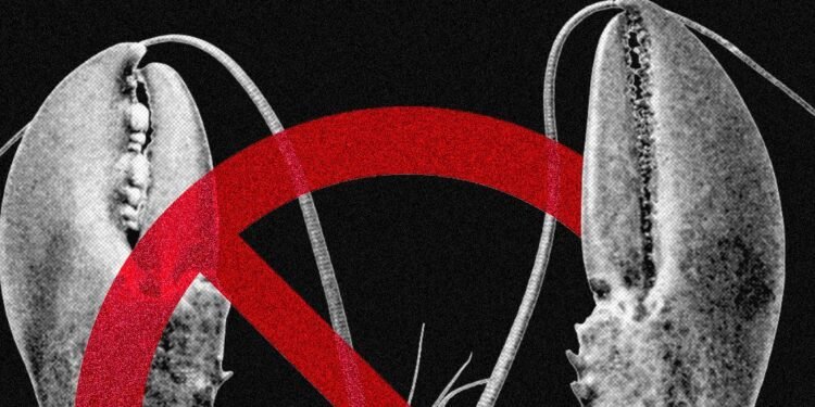 Meta and Other Tech Companies Ban OpenClaw Over Cybersecurity Concerns