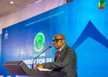 NNPC calls for equitable, people-centred energy transition in Africa – EnviroNews