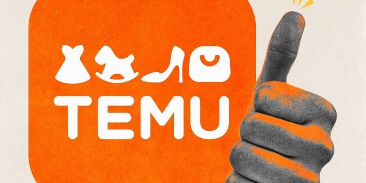 Nigeria launches formal probe into Temu