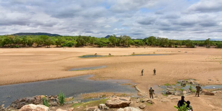 Op Corona January seizures total millions in contraband, drugs and stolen vehicles