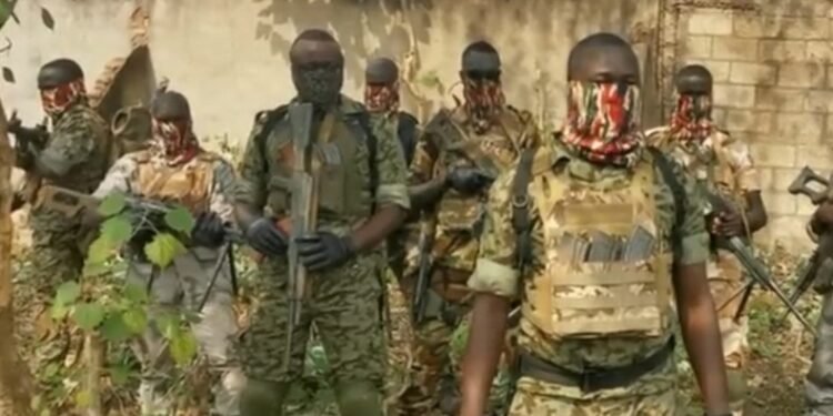 Putin intervenes as South Africa secures return of 17 citizens misled into Russia-Ukraine war