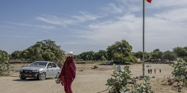 RSF Attack on Chad Stokes Fears of Escalating Regional Violence