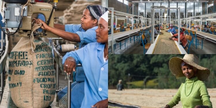 Russia, Ethiopia trade racks $435 million in coffee and machinery sales