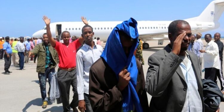 Rwanda and 2 other African countries received $32m from US in deportation deals, senate report says