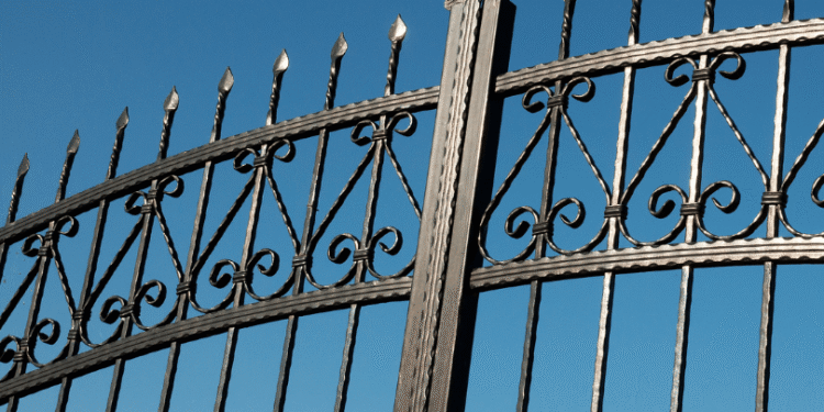 SARS Gatekeeper Role Delays Offshore Directors’ Fees