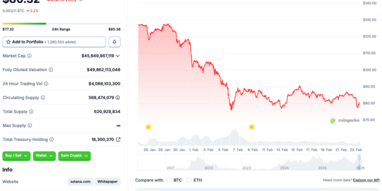 Solana At $80 Is A Bargain: Here’s Why