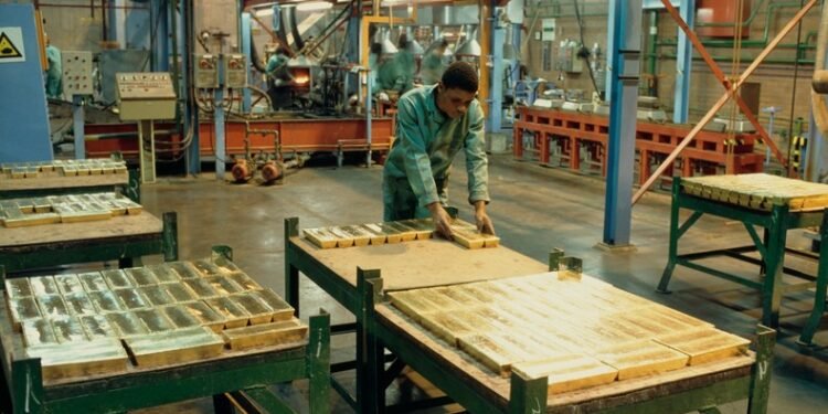 South Africa’s first gold mine in 15 years clears key risk review for investors