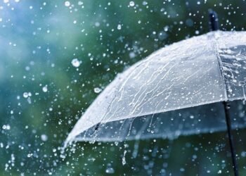 Study links South Australia’s rainfall plunge to climate change, land use – EnviroNews