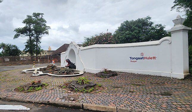 Sugar industry crisis prompts call for state intervention