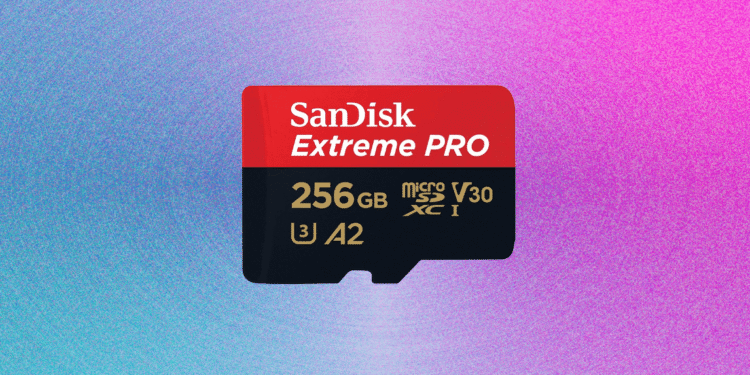 The Best MicroSD Cards for Your Camera, Switch, and More