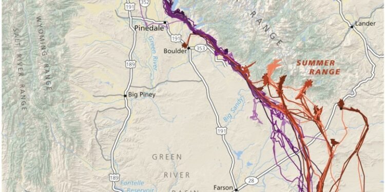 The farther the walk, the fatter the deer, study finds