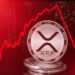 This Exact XRP Price Crash Pattern Once Triggered an 835% Rally