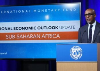 Top 10 African countries with the lowest IMF debt in February 2026