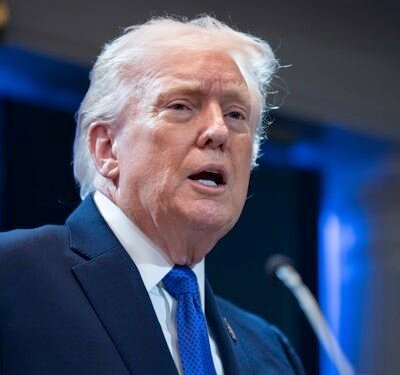 Trump directs government to ‘immediately cease’ using Anthropic technology