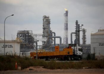 Turkey wealth fund in talks on $10bln petrochemicals project