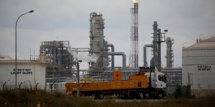 Turkey wealth fund in talks on $10bln petrochemicals project