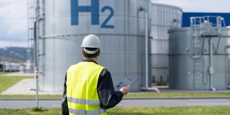 UAE’s Fertiglobe expects FID on Egypt Green Hydrogen project in ‘coming months’