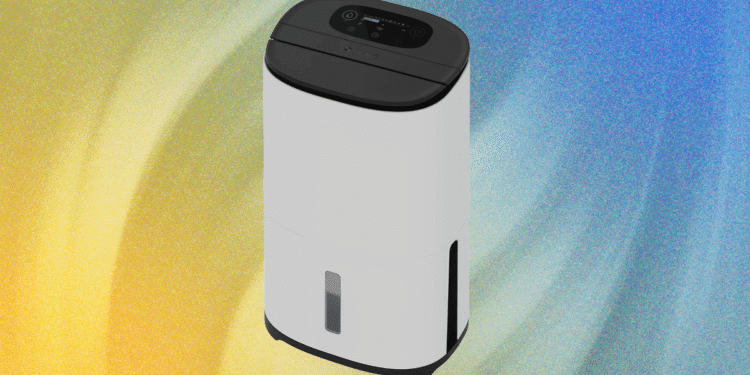 Why a Dehumidifier Is One of My Favorite Gadgets
