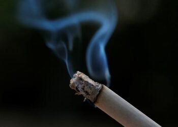 World Cancer Day 2026: Africa should emulate Sweden’s proven blueprint to reduce smoking-related cancer – EnviroNews