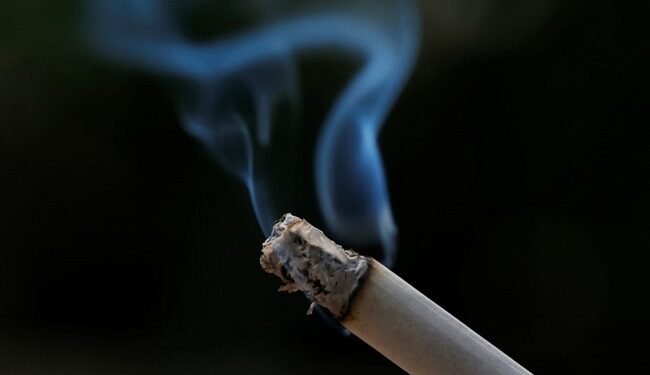 World Cancer Day 2026: Africa should emulate Sweden’s proven blueprint to reduce smoking-related cancer – EnviroNews