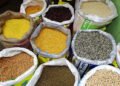 World Pulses Day highlights the untapped potential of pulses