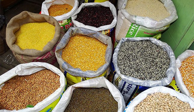 World Pulses Day highlights the untapped potential of pulses