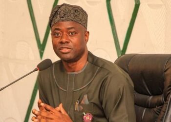 World Wetlands Day: Oyo advised to curb indiscriminate vegetation clearance – EnviroNews