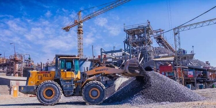 Zimbabwe has taken the immediate decision to shut down the export of all its raw materials