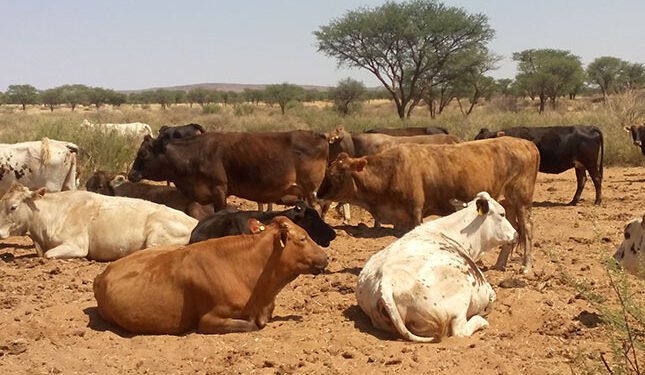 coordination breakthrough or centralisation risk?