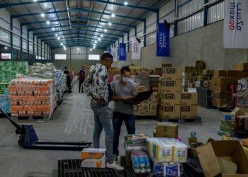 12 Agtech startups in Africa that have raised over $50 million in funding (2016-2025)