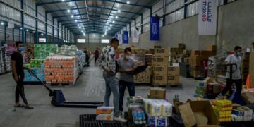 12 Agtech startups in Africa that have raised over $50 million in funding (2016-2025)